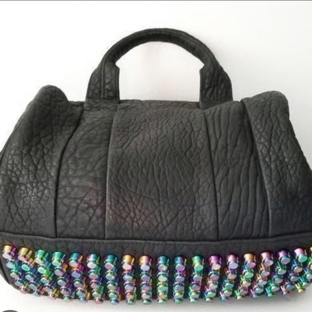 Alexander Wang Iridescent Rocco Bag!